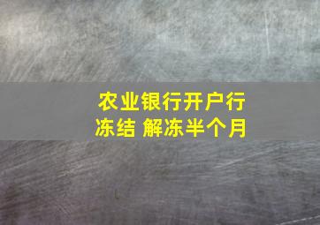 农业银行开户行冻结 解冻半个月